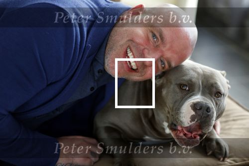 Apeldoorn 2 februari 2022
Andy v d Meyde op straat en met zijn hond