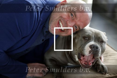 Apeldoorn 2 februari 2022
Andy v d Meyde op straat en met zijn hond