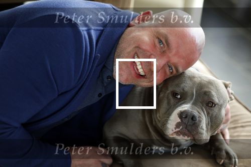 Apeldoorn 2 februari 2022
Andy v d Meyde op straat en met zijn hond