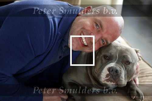Apeldoorn 2 februari 2022
Andy v d Meyde op straat en met zijn hond