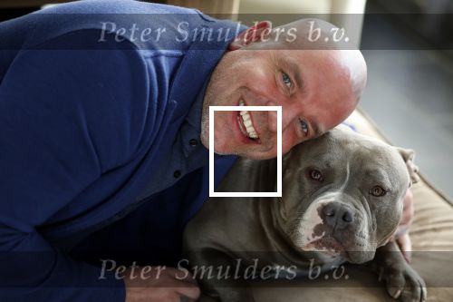 Apeldoorn 2 februari 2022
Andy v d Meyde op straat en met zijn hond