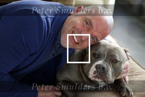 Apeldoorn 2 februari 2022
Andy v d Meyde op straat en met zijn hond