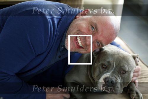 Apeldoorn 2 februari 2022
Andy v d Meyde op straat en met zijn hond