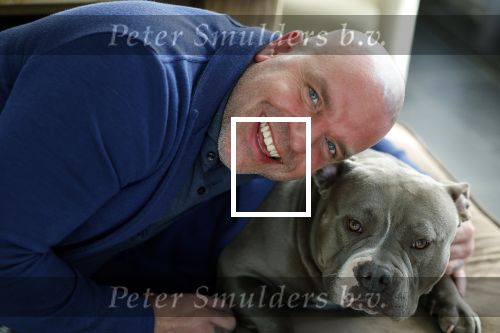 Apeldoorn 2 februari 2022
Andy v d Meyde op straat en met zijn hond