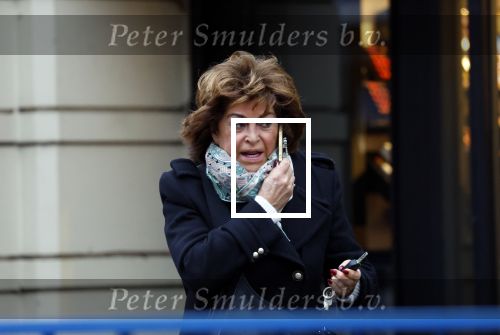 Amsterdam 22 januari 2022
Christine Kroonenberg bellend op straat