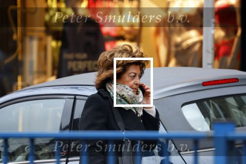 Amsterdam 22 januari 2022
Christine Kroonenberg bellend op straat