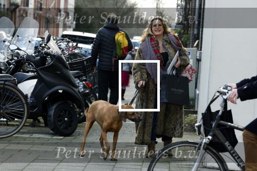 Amsterdam 2 februari 2022
Claudia Schoemacher met haar hond op de pc hooftstraat