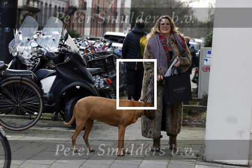 Amsterdam 2 februari 2022
Claudia Schoemacher met haar hond op de pc hooftstraat