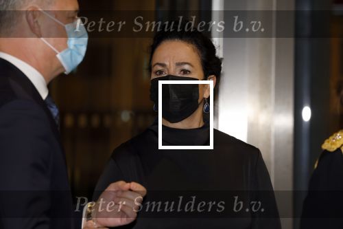 Amsterdam 6 februari 2022
Afscheidsconcert naar aanleiding van overlijden Bernard Haitink in het concertgebouw. Prinses Beatrix is aanwezig en moet gewoon een corona check laten doen. Femke Halsema