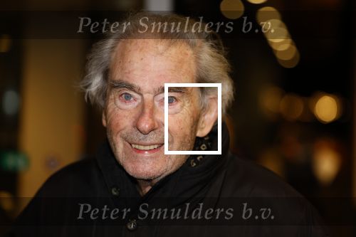 Amsterdam 6 februari 2022
Afscheidsconcert naar aanleiding van overlijden Bernard Haitink in het concertgebouw. Prinses Beatrix is aanwezig en moet gewoon een corona check laten doen. Joop v Zijl