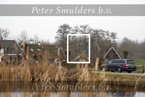 Abcoude 26 januari 2022
Lijkwagen op het gein