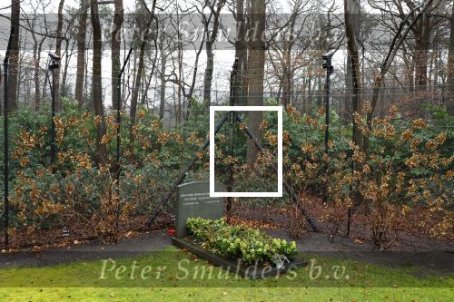 Lage Vuursche 31 januari 2022
Het graf van Prins Friso naast kasteel Drackensteyn