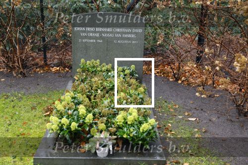 Lage Vuursche 31 januari 2022
Het graf van Prins Friso naast kasteel Drackensteyn