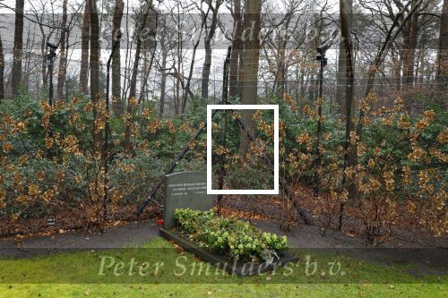 Lage Vuursche 31 januari 2022
Het graf van Prins Friso naast kasteel Drackensteyn