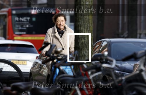 Amsterdam 13 februari 2022
Prinses Marilene op de fiets in Amsterdam zuid.