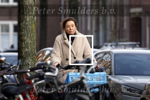 Amsterdam 13 februari 2022
Prinses Marilene op de fiets in Amsterdam zuid.