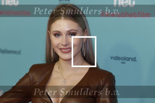 Amsterdam 14 februari 2022
Premiere ik wist het in Tuschinski.
Quinty Mirjam de Vries