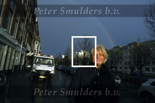 Den Haag 4 februari 2022
Rob en Ferdi Bolland worden geeerd met een plakaat op de muur van een huis met een tekst van 1 van hun liedjes daarop. Het hangt in de straat waar Rob Bolland woont.