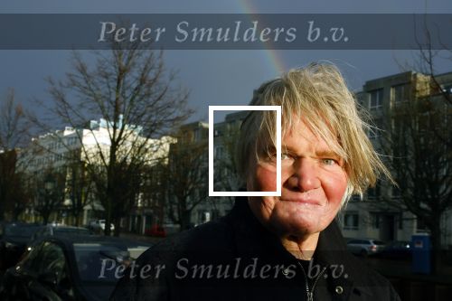 Den Haag 4 februari 2022
Rob en Ferdi Bolland worden geeerd met een plakaat op de muur van een huis met een tekst van 1 van hun liedjes daarop. Het hangt in de straat waar Rob Bolland woont.
