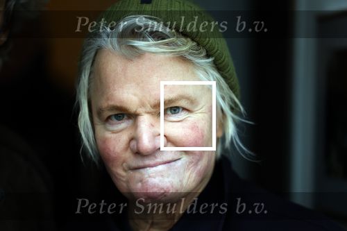 Den Haag 4 februari 2022
Rob en Ferdi Bolland worden geeerd met een plakaat op de muur van een huis met een tekst van 1 van hun liedjes daarop. Het hangt in de straat waar Rob Bolland woont.