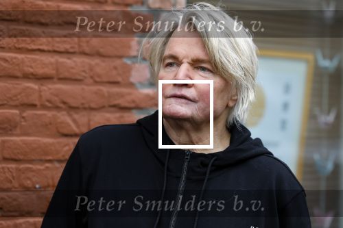 Den Haag 4 februari 2022
Rob en Ferdi Bolland worden geeerd met een plakaat op de muur van een huis met een tekst van 1 van hun liedjes daarop. Het hangt in de straat waar Rob Bolland woont.