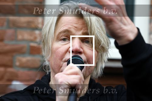 Den Haag 4 februari 2022
Rob en Ferdi Bolland worden geeerd met een plakaat op de muur van een huis met een tekst van 1 van hun liedjes daarop. Het hangt in de straat waar Rob Bolland woont.