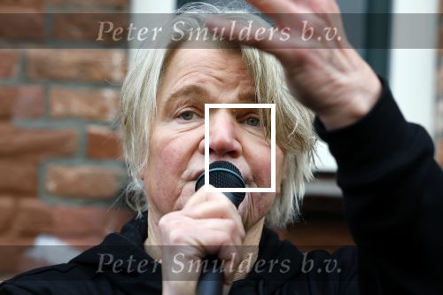 Den Haag 4 februari 2022
Rob en Ferdi Bolland worden geeerd met een plakaat op de muur van een huis met een tekst van 1 van hun liedjes daarop. Het hangt in de straat waar Rob Bolland woont.
