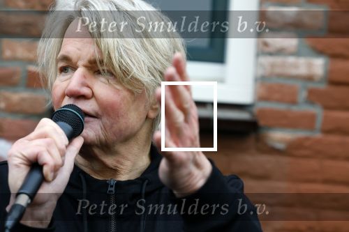 Den Haag 4 februari 2022
Rob en Ferdi Bolland worden geeerd met een plakaat op de muur van een huis met een tekst van 1 van hun liedjes daarop. Het hangt in de straat waar Rob Bolland woont.