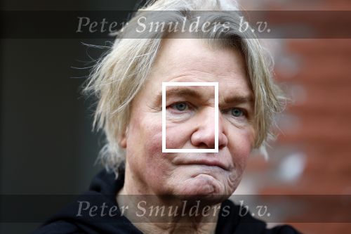 Den Haag 4 februari 2022
Rob en Ferdi Bolland worden geeerd met een plakaat op de muur van een huis met een tekst van 1 van hun liedjes daarop. Het hangt in de straat waar Rob Bolland woont.