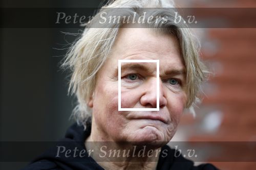 Den Haag 4 februari 2022
Rob en Ferdi Bolland worden geeerd met een plakaat op de muur van een huis met een tekst van 1 van hun liedjes daarop. Het hangt in de straat waar Rob Bolland woont.
