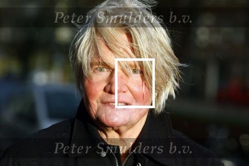 Den Haag 4 februari 2022
Rob en Ferdi Bolland worden geeerd met een plakaat op de muur van een huis met een tekst van 1 van hun liedjes daarop. Het hangt in de straat waar Rob Bolland woont.