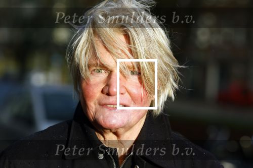 Den Haag 4 februari 2022
Rob en Ferdi Bolland worden geeerd met een plakaat op de muur van een huis met een tekst van 1 van hun liedjes daarop. Het hangt in de straat waar Rob Bolland woont.