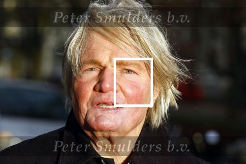 Den Haag 4 februari 2022
Rob en Ferdi Bolland worden geeerd met een plakaat op de muur van een huis met een tekst van 1 van hun liedjes daarop. Het hangt in de straat waar Rob Bolland woont.