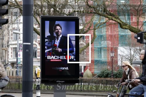 Amsterdam 15 februari 2022
Abri the Bachelor / Thomas v d Vlugt