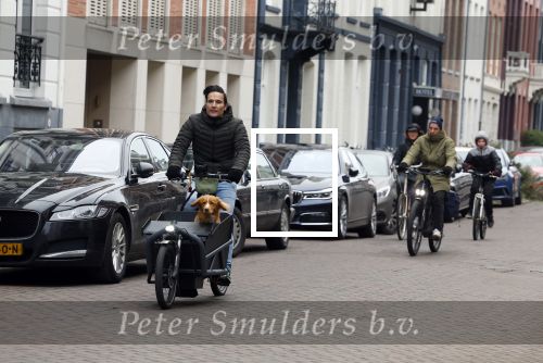 Amsterdam 15 januari 2022
Tim Oliehoek met zijn hond in bakfiets in Amsterdam zuid