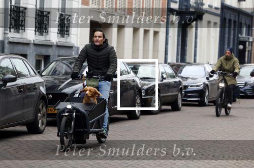 Amsterdam 15 januari 2022
Tim Oliehoek met zijn hond in bakfiets in Amsterdam zuid
