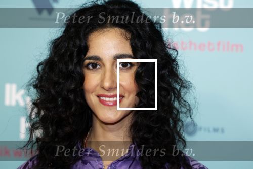 Amsterdam 14 februari 2022
Premiere ik wist het in Tuschinski.
Toprak Yalciner