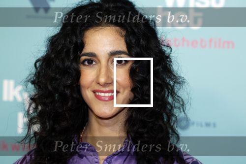 Amsterdam 14 februari 2022
Premiere ik wist het in Tuschinski.
Toprak Yalciner