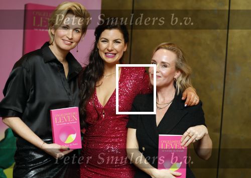 Amsterdam 14 februari 2023
Boekpresentatie Steffy Roos de Maine in het Soho House.
Anouk Smulders met Steffy Roos demaine en Christine Beijnen