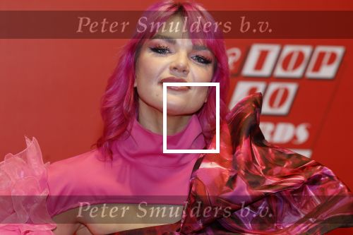 Rotterdam 3 februari 2023
Qmusic awards in AHOY. Amanda van Effrink