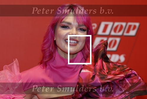 Rotterdam 3 februari 2023
Qmusic awards in AHOY. Amanda van Effrink