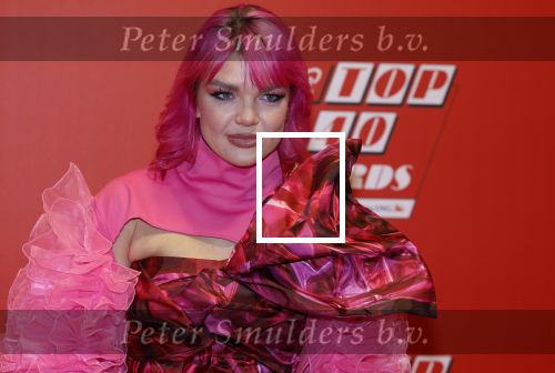 Rotterdam 3 februari 2023
Qmusic awards in AHOY. Amanda van Effrink