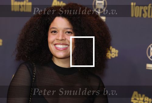 Hilversum 26 april 2023
Uitreiking radio ring 2023 in de vorstin .
Angelique Houtveen