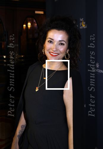 Amsterdam 2 februari 2023
Premiere de Magie van Valentijn in Tuschinski met in de hoofdrol Birgit Schuurman . Iris Hond en Lakhsmi speelden de titelsong.