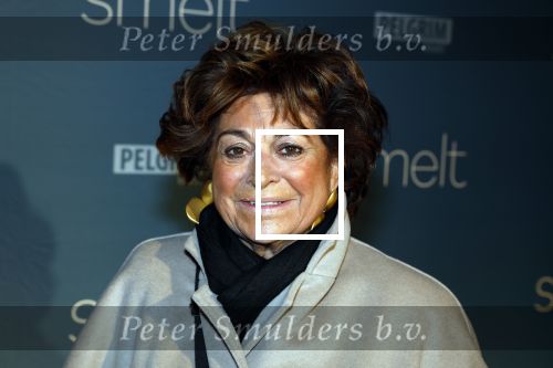 Amsterdam 23 januari 2023
Premiere Smelt met in de hoofdrol Ernst Daniel Smid.
De feestelijke premiere vond plaats in Tuschinski. Christine Kroonenberg met vrienden