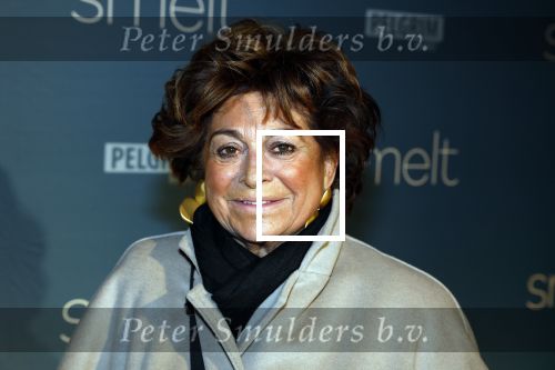 Amsterdam 23 januari 2023
Premiere Smelt met in de hoofdrol Ernst Daniel Smid.
De feestelijke premiere vond plaats in Tuschinski. Christine Kroonenberg met vrienden