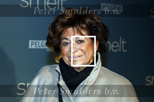 Amsterdam 23 januari 2023
Premiere Smelt met in de hoofdrol Ernst Daniel Smid.
De feestelijke premiere vond plaats in Tuschinski. Christine Kroonenberg met vrienden