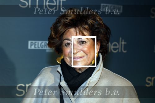 Amsterdam 23 januari 2023
Premiere Smelt met in de hoofdrol Ernst Daniel Smid.
De feestelijke premiere vond plaats in Tuschinski. Christine Kroonenberg met vrienden