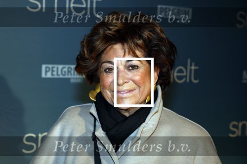 Amsterdam 23 januari 2023
Premiere Smelt met in de hoofdrol Ernst Daniel Smid.
De feestelijke premiere vond plaats in Tuschinski. Christine Kroonenberg met vrienden