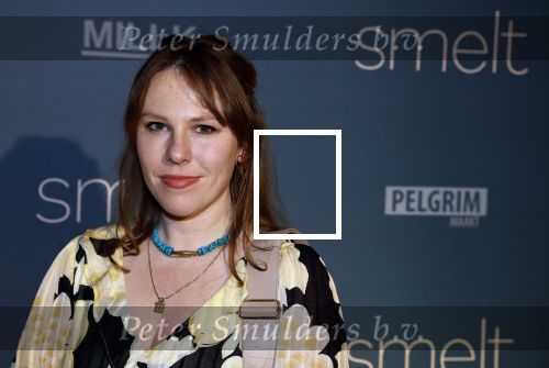 Amsterdam 23 januari 2023
Premiere Smelt met in de hoofdrol Ernst Daniel Smid.
De feestelijke premiere vond plaats in Tuschinski. Coosje Smid